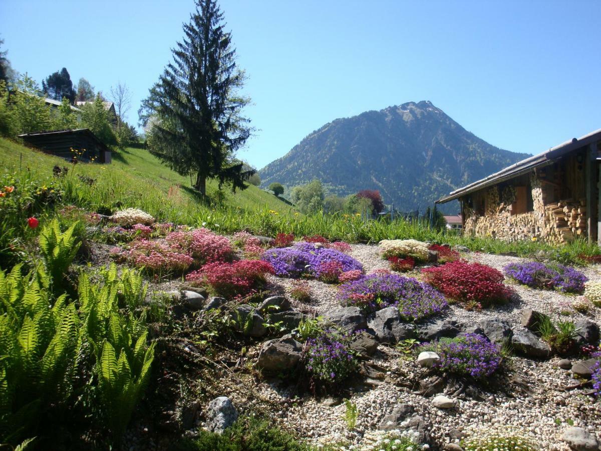 Haus Bergheimat Appartement *